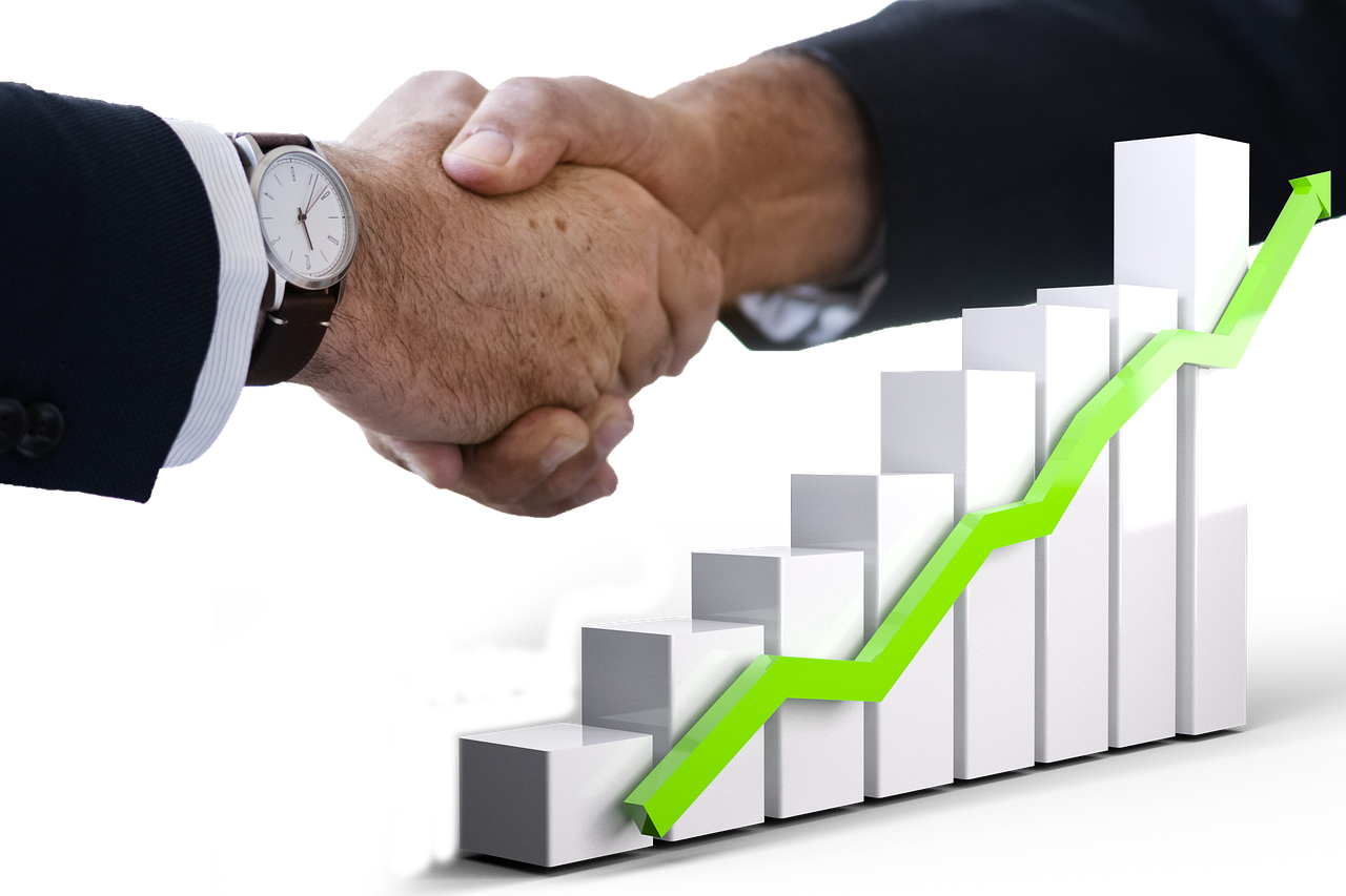 understanding, investment, bag